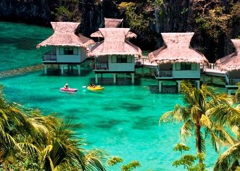 campaign elnido 21